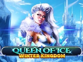 Queen Of Ice Winter Kingdom